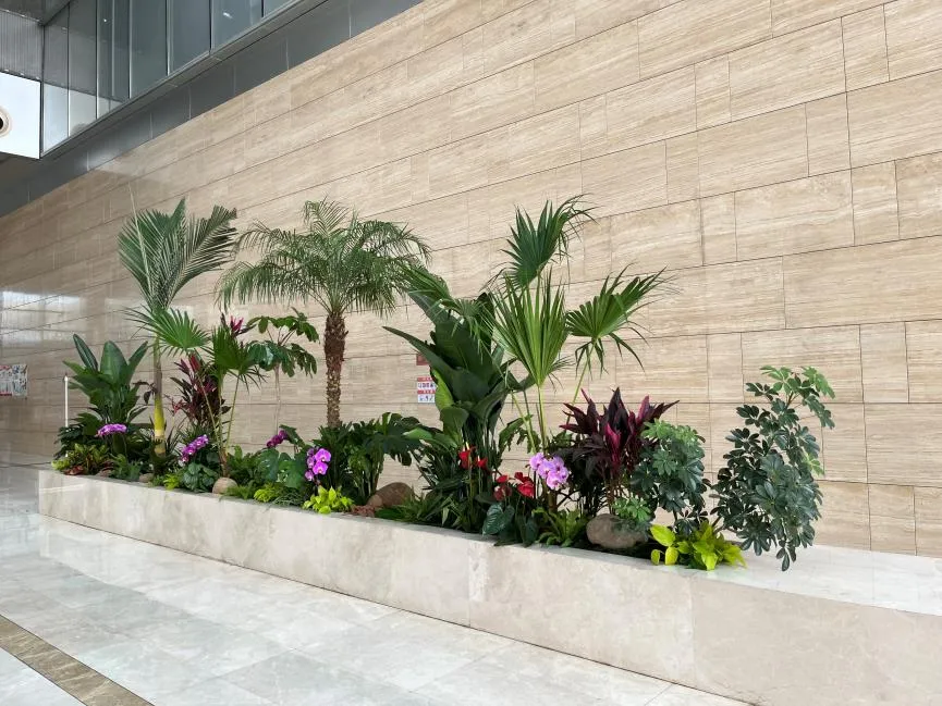 你知道宁波鄞州花卉租赁价格的秘密吗?><div class=